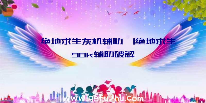 「绝地求生灰机辅助」|绝地求生98k辅助破解